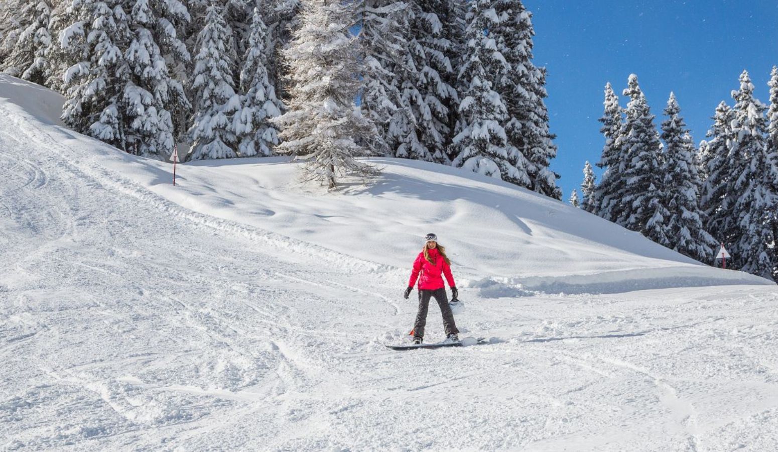 viaje a laponia Iso Sy&ouml;te en diciembre 2026